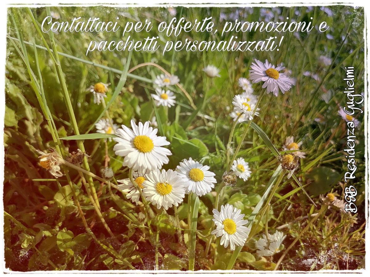 Residenza Guglielmi Bed & Breakfast Campobasso Bagian luar foto